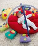 Playmat & Baby Gym