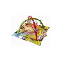 Taf Toys Newborn Play Gym