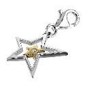 Hot Diamonds Superstar Silver and Gold-plated Charm