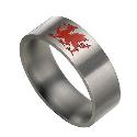 Titanium Welsh Dragon Ring