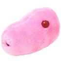 Giant Microbes (Swine Flu)