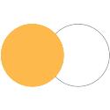 Lastolite 95cm Reflector - Gold/White