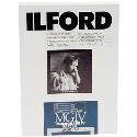 Ilford MG4RC44M 8x10 inch 250 sheets 1771376