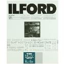 Ilford MG44M RC 10x8 inch 120 sheets