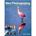 Bird Photography